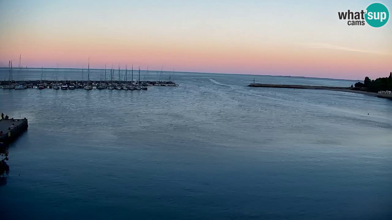Webcam Baie de Sistiana – Vue en direct de la marina et de la baie
