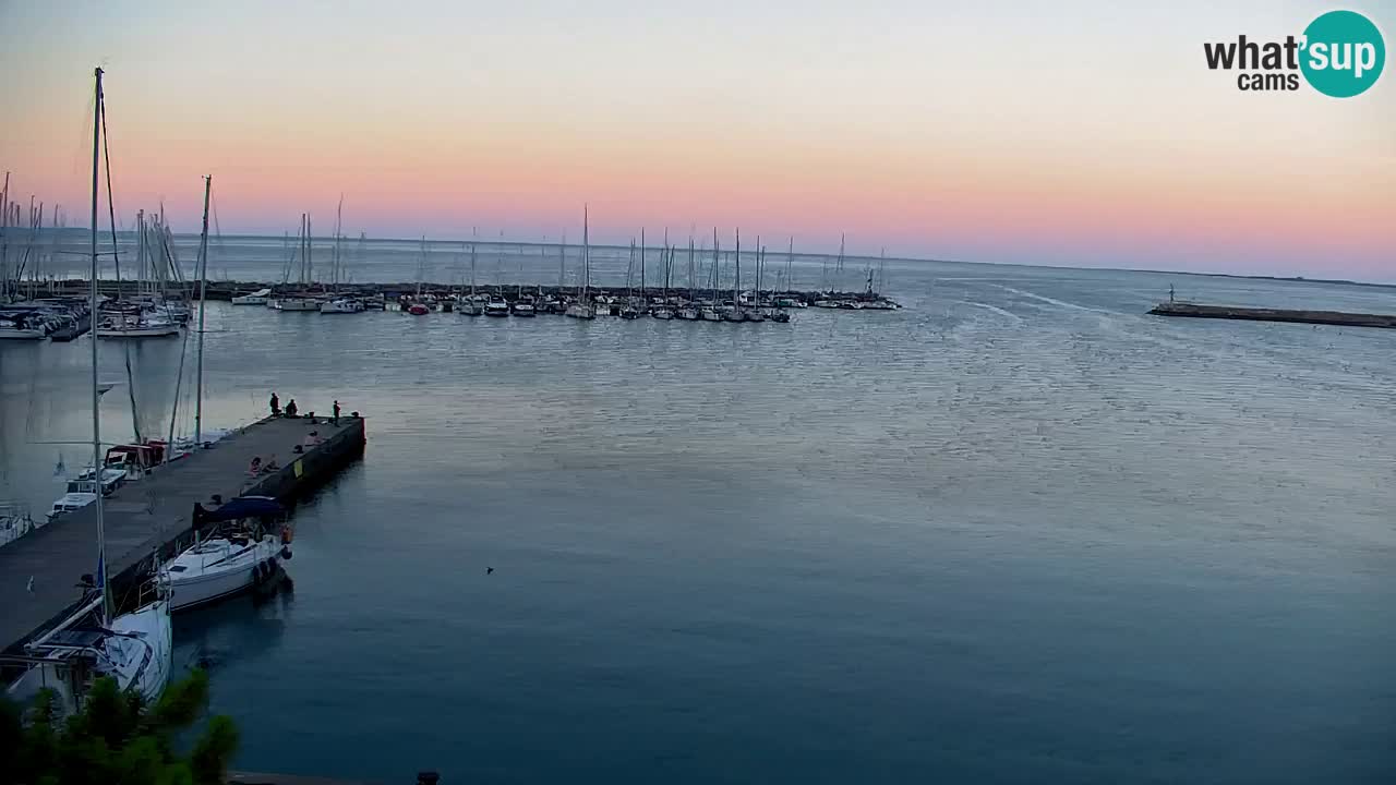 Webcam Sistiana Baia – Live View of the Marina and Gulf