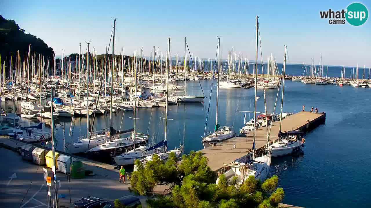Webcam Bahía de Sistiana – Vista en directo del puerto deportivo y la costa