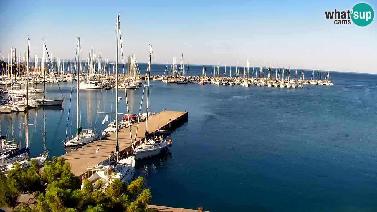 Webcam Bahía de Sistiana – Vista en directo del puerto deportivo y la costa