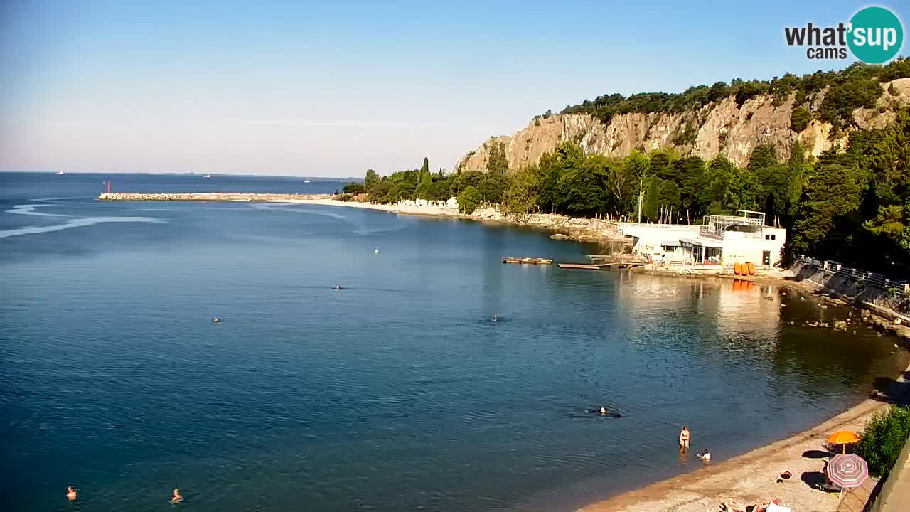 Webcam Bahía de Sistiana – Vista en directo del puerto deportivo y la costa