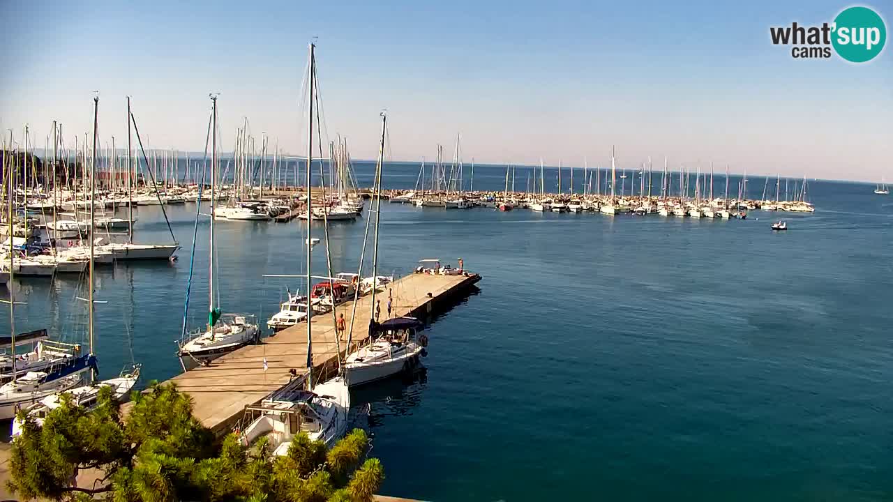 Webcam Bahía de Sistiana – Vista en directo del puerto deportivo y la costa