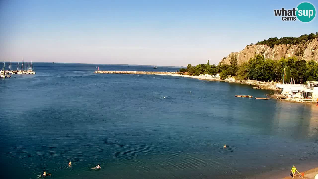 Spletna kamera Sesljanski zaliv – Pogled v živo na marino in zaliv