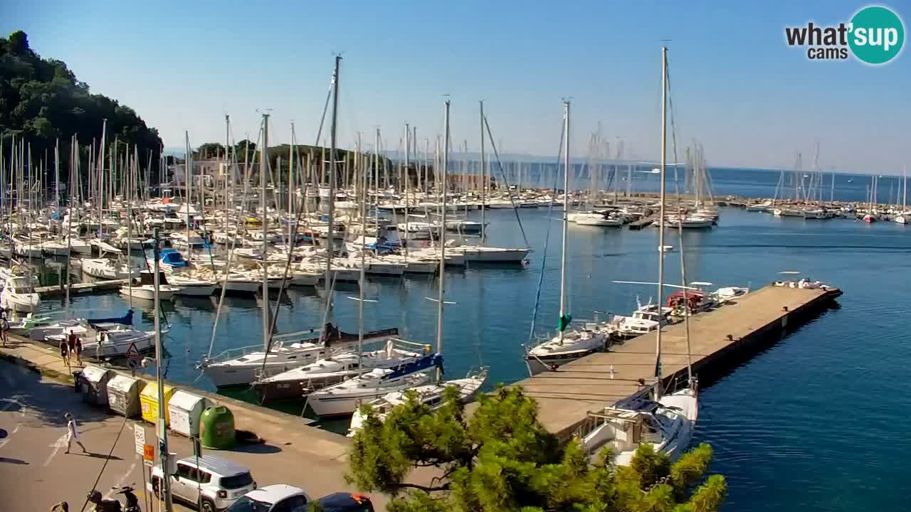 Webcam Bahía de Sistiana – Vista en directo del puerto deportivo y la costa