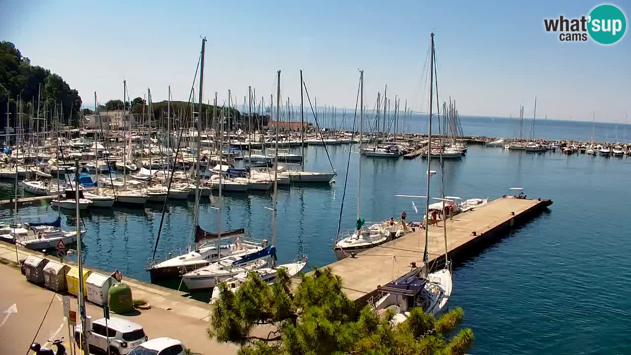 Web kamera Sistiana Uvala – Pogled uživo na marinu i zaljev