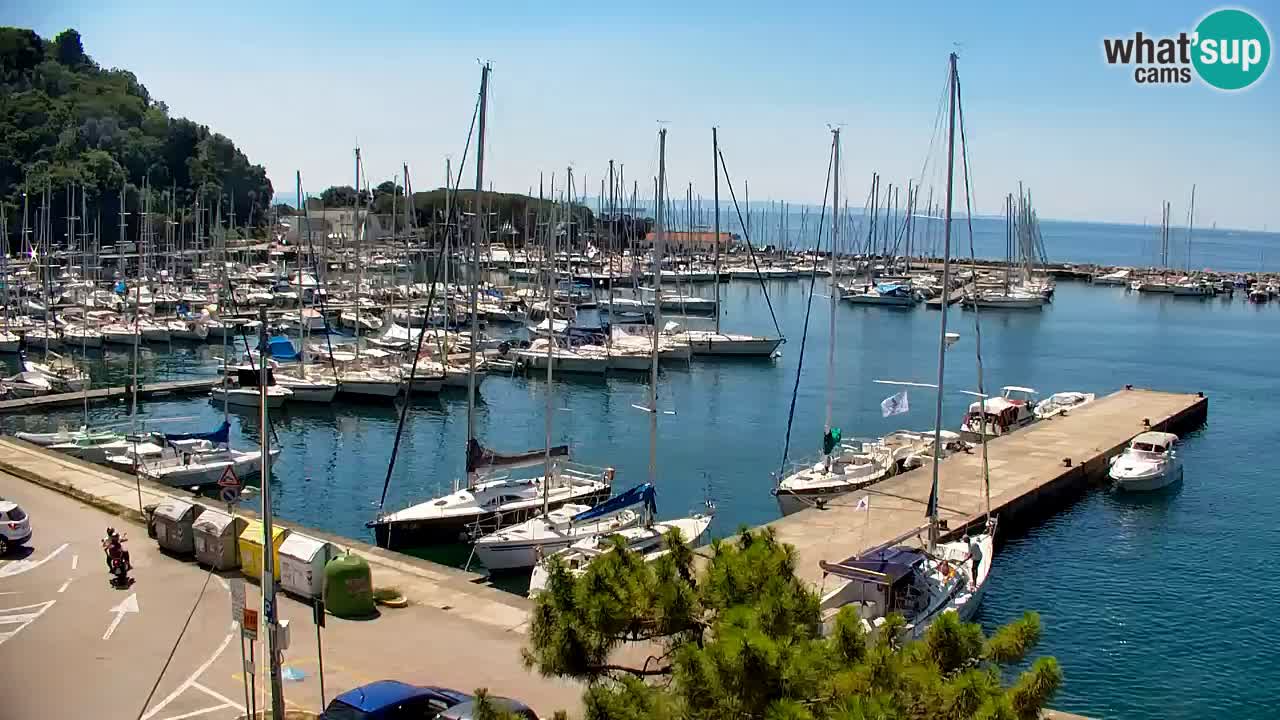 Webcam Sistiana Baia – Live View of the Marina and Gulf