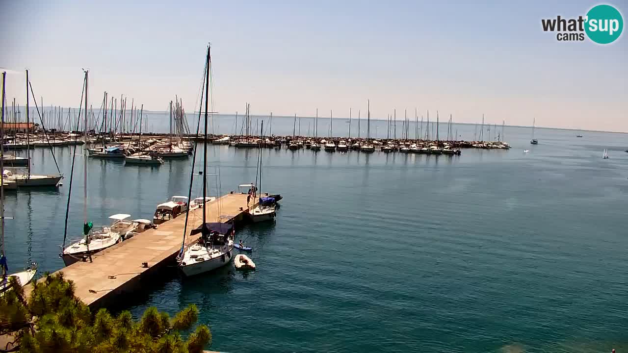 Webcam Baia di Sistiana – Marina e Golfo in diretta