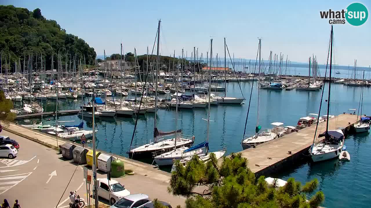 Webcam Sistiana Baia – Live View of the Marina and Gulf