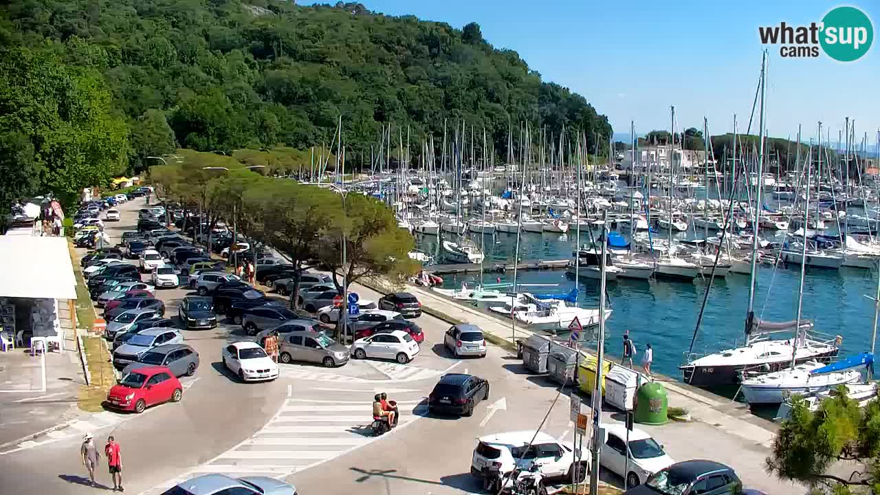 Webcam Baie de Sistiana – Vue en direct de la marina et de la baie