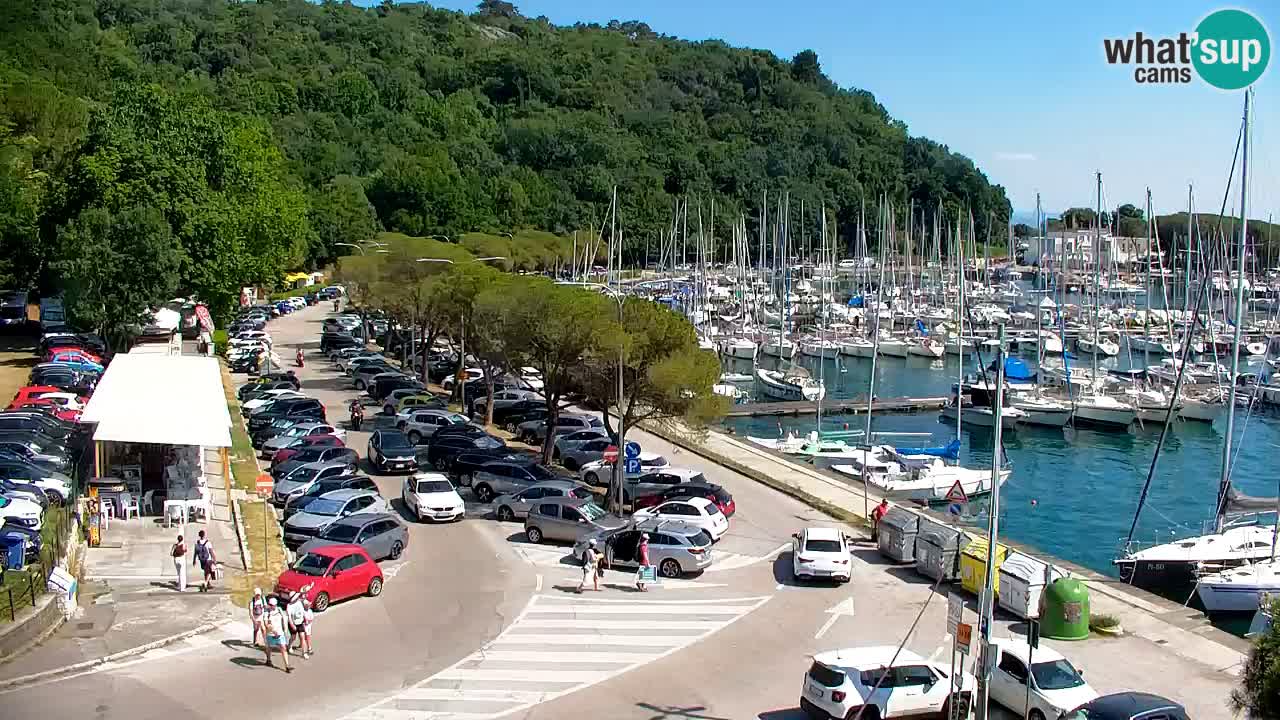 Webcam Bahía de Sistiana – Vista en directo del puerto deportivo y la costa