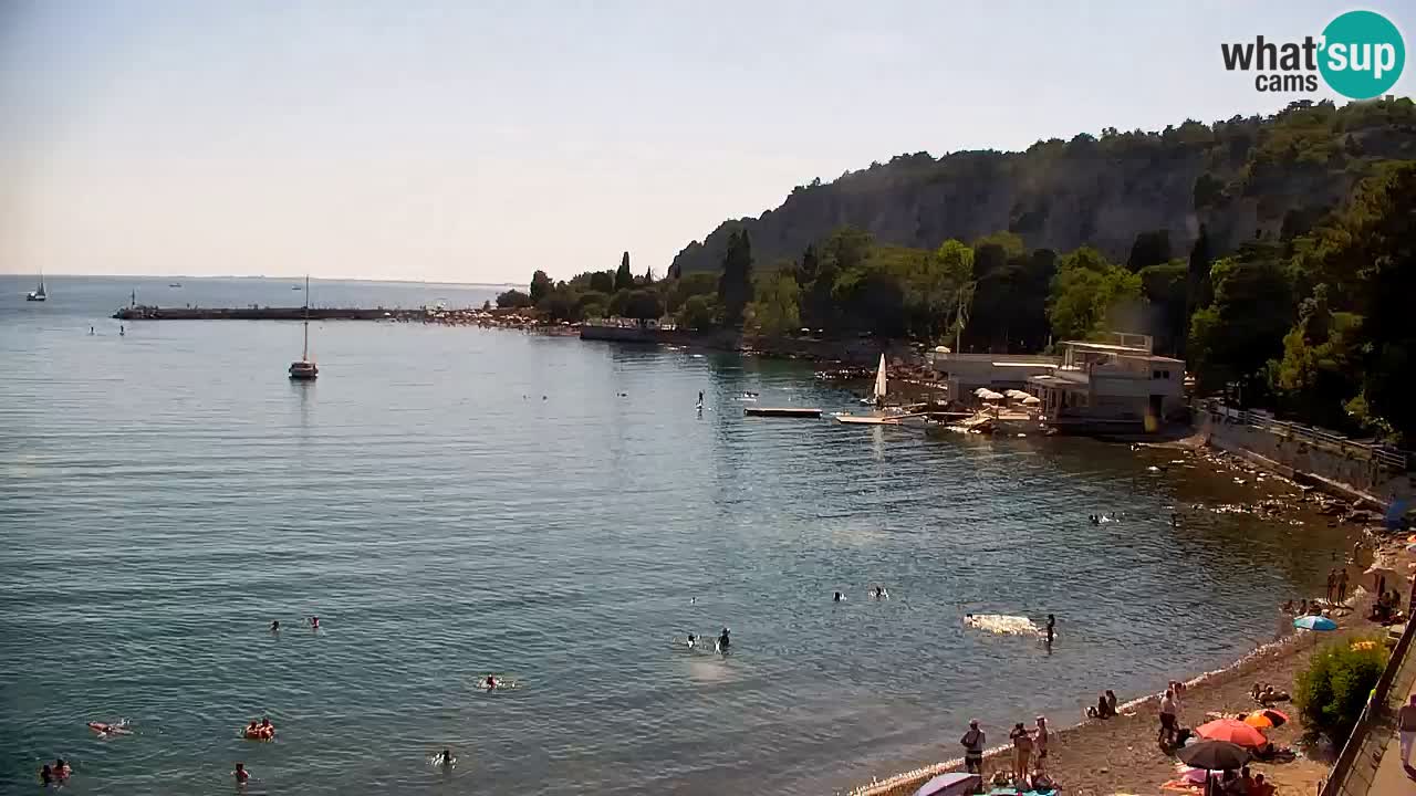 Webcam Bahía de Sistiana – Vista en directo del puerto deportivo y la costa