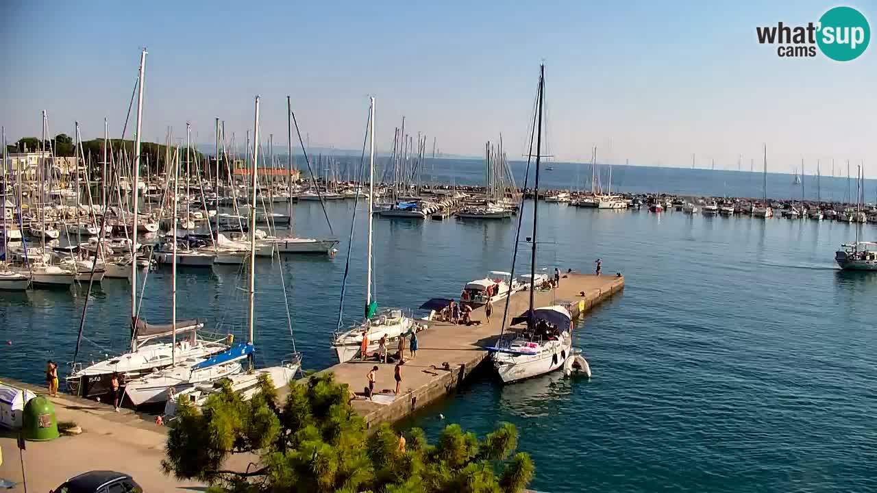 Webcam Sistiana Baia – Live View of the Marina and Gulf