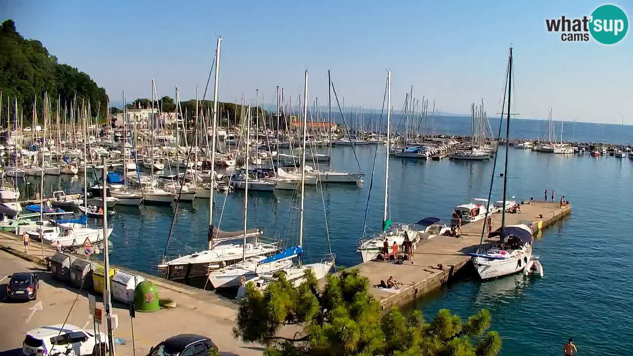 Webcam Sistiana Baia – Live View of the Marina and Gulf