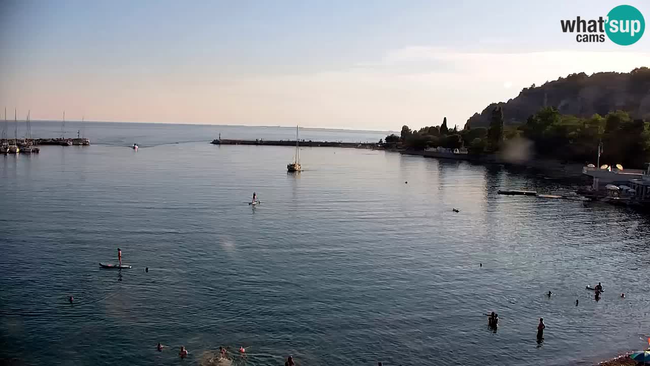 Webcam Sistiana Baia – Live View of the Marina and Gulf