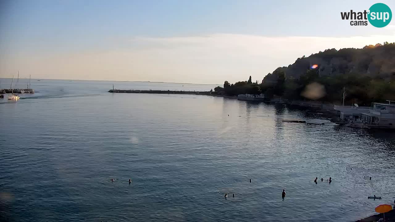 Webcam Sistiana Baia – Live View of the Marina and Gulf
