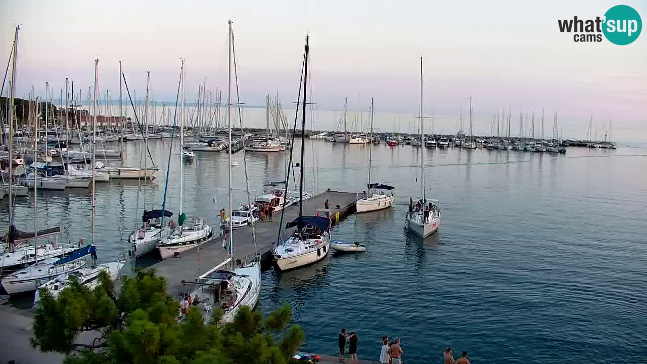 Webcam Sistiana Baia – Live View of the Marina and Gulf