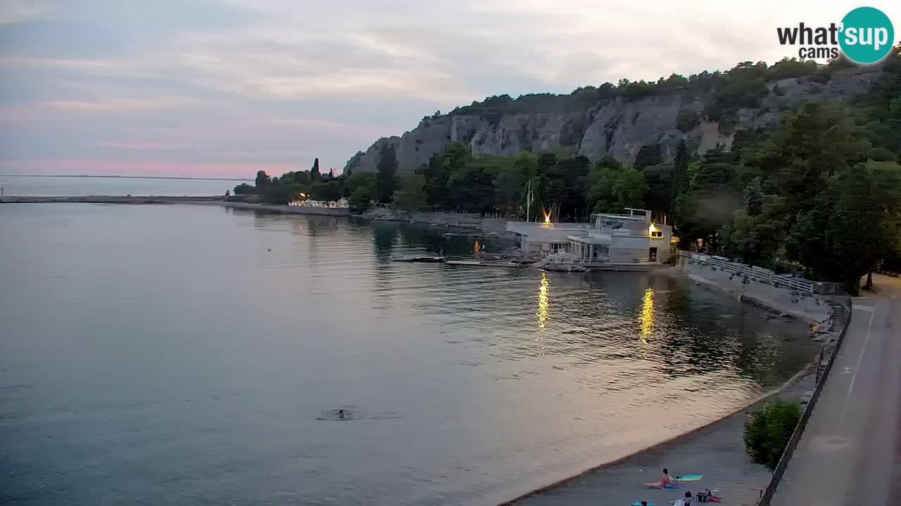 Webcam Sistiana Baia – Live View of the Marina and Gulf