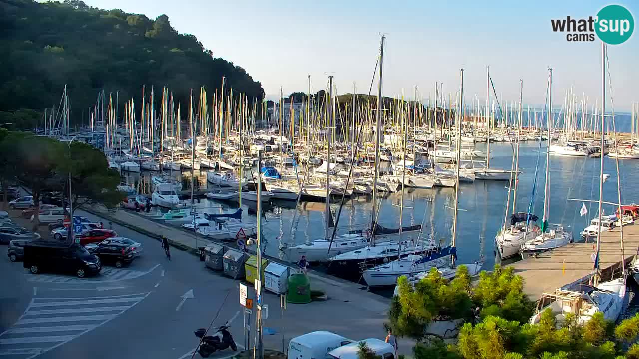 Webcam Sistiana Baia – Live View of the Marina and Gulf