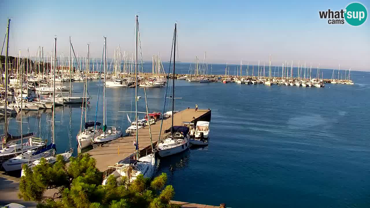 Webcam Sistiana Baia – Live View of the Marina and Gulf