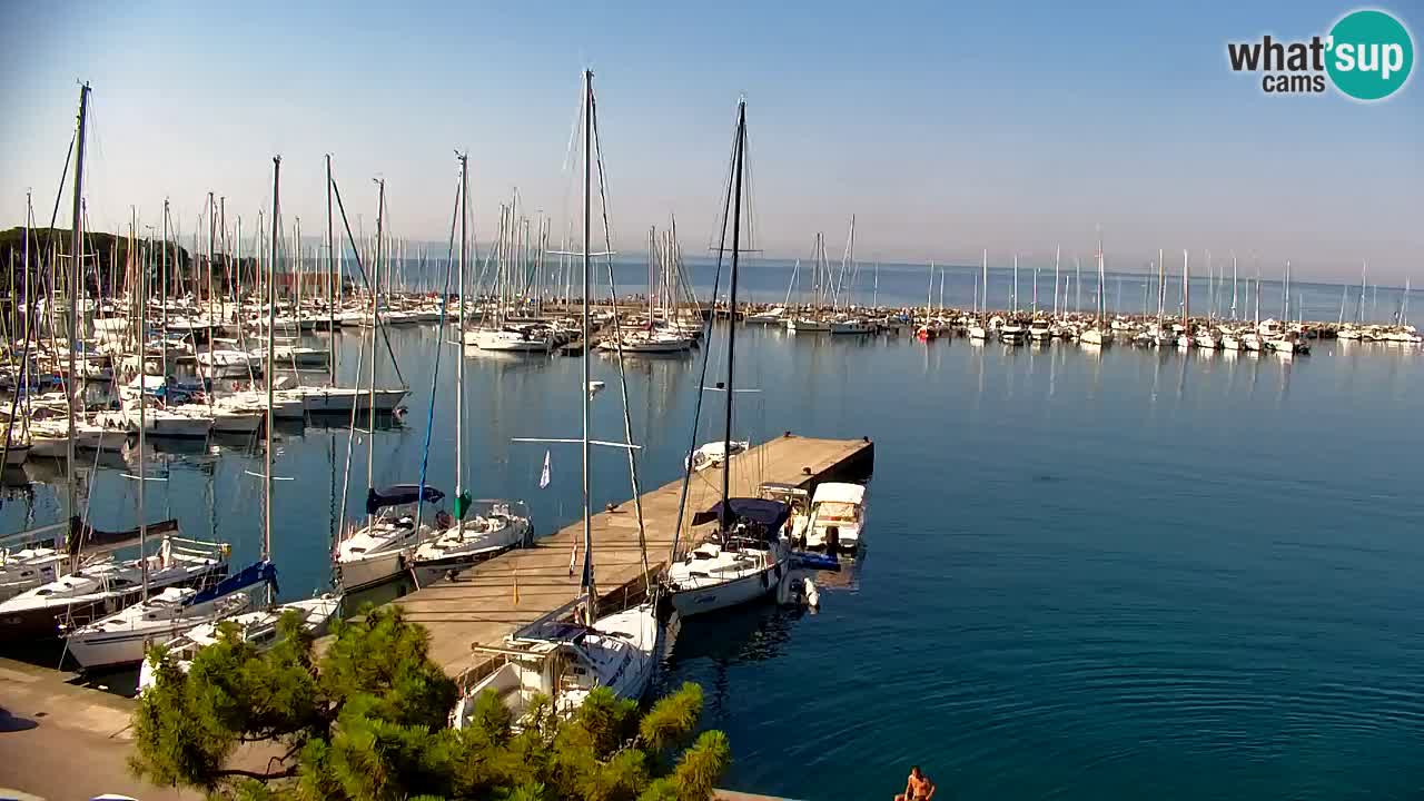 Webcam Sistiana Baia – Live View of the Marina and Gulf