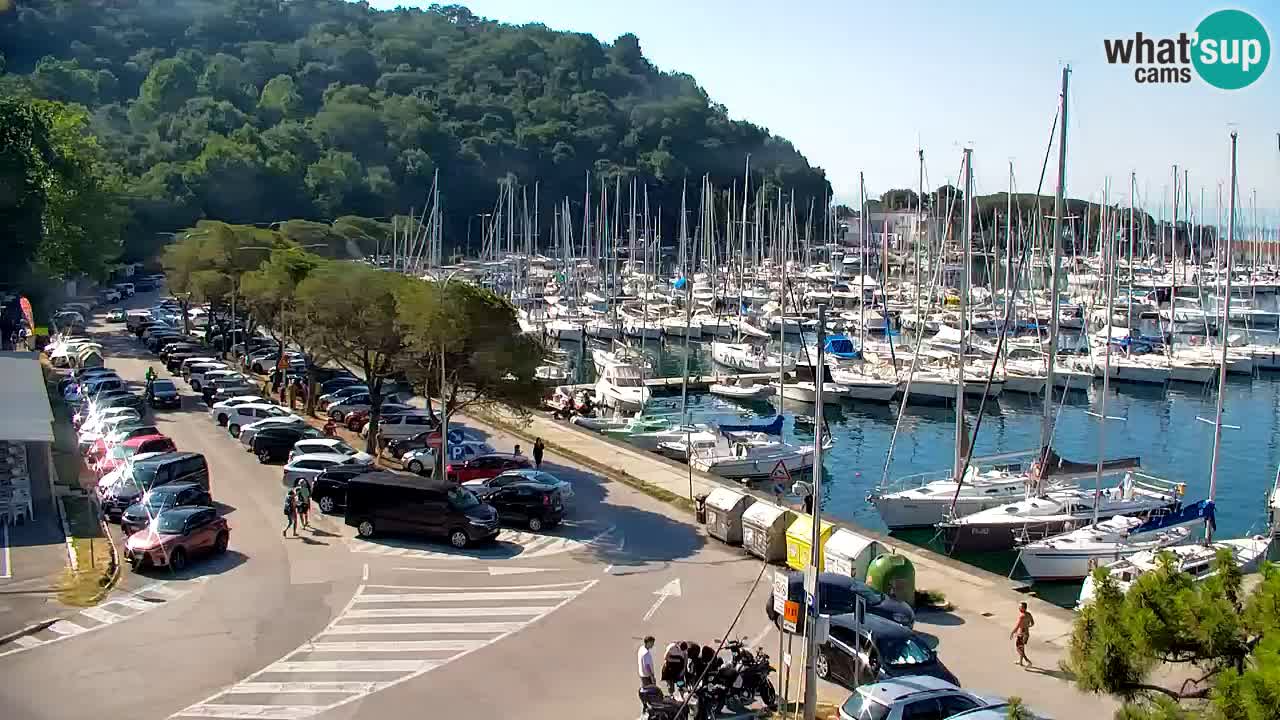 Webcam Sistiana Baia – Live View of the Marina and Gulf