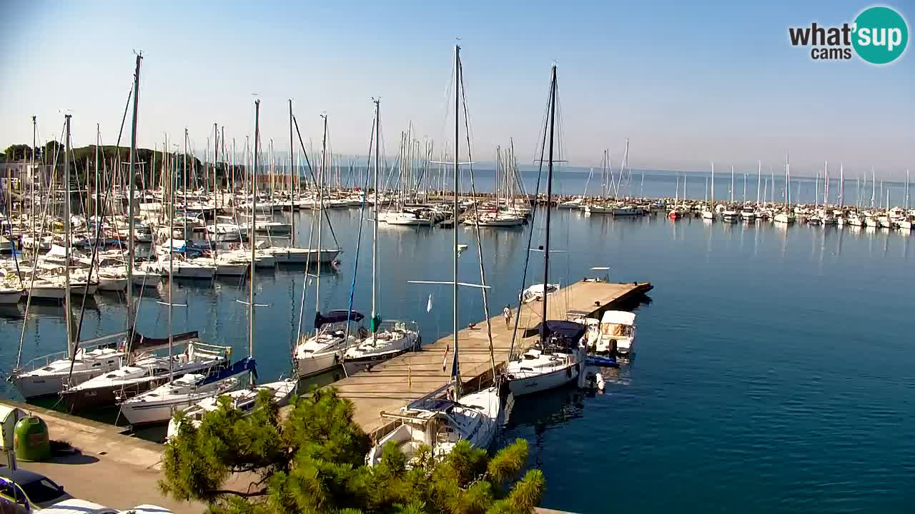 Webcam Sistiana Baia – Live View of the Marina and Gulf