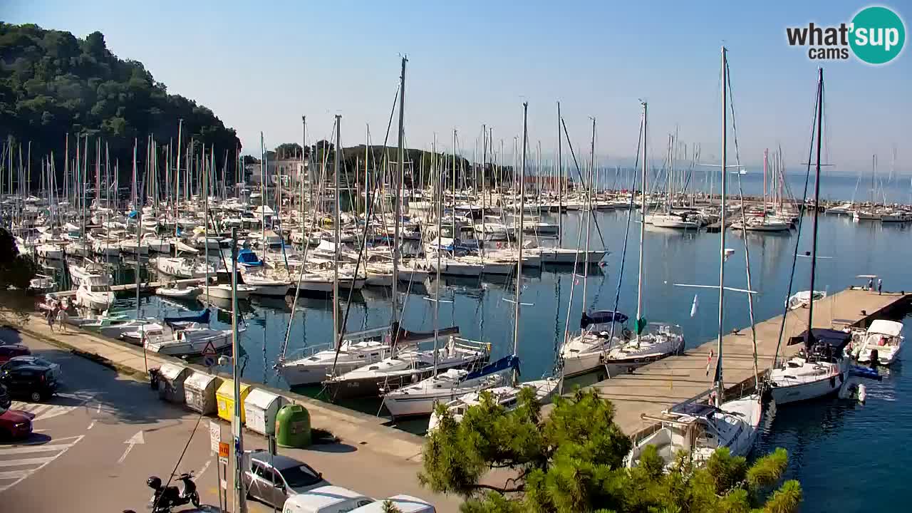 Webcam Sistiana Bucht – Liveblick auf Marina und Bucht