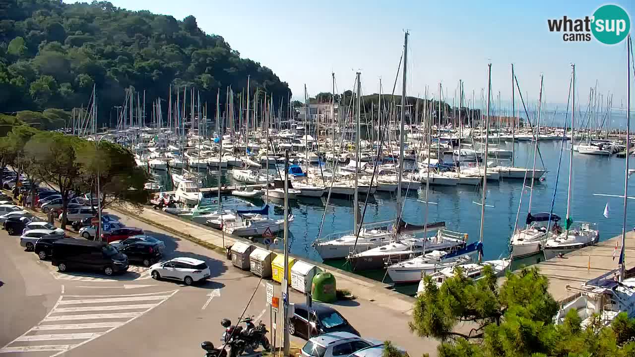 Webcam Sistiana Baia – Live View of the Marina and Gulf