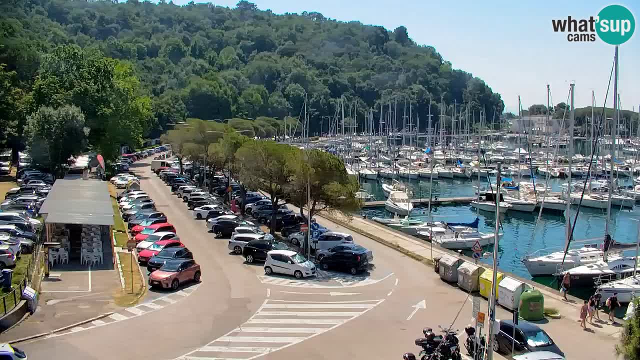 Spletna kamera Sesljanski zaliv – Pogled v živo na marino in zaliv