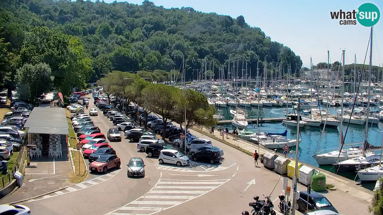 Webcam Sistiana Baia – Live View of the Marina and Gulf