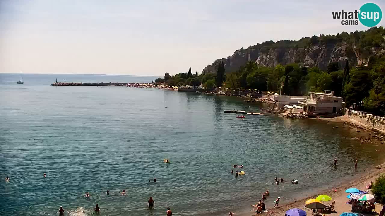 Webcam Sistiana Baia – Live View of the Marina and Gulf