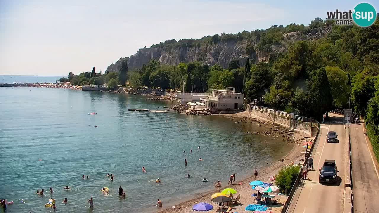 Webcam Bahía de Sistiana – Vista en directo del puerto deportivo y la costa
