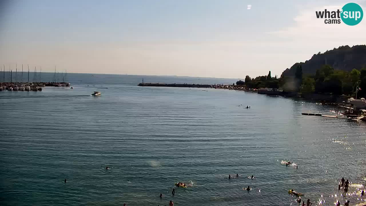 Webcam Sistiana Baia – Live View of the Marina and Gulf