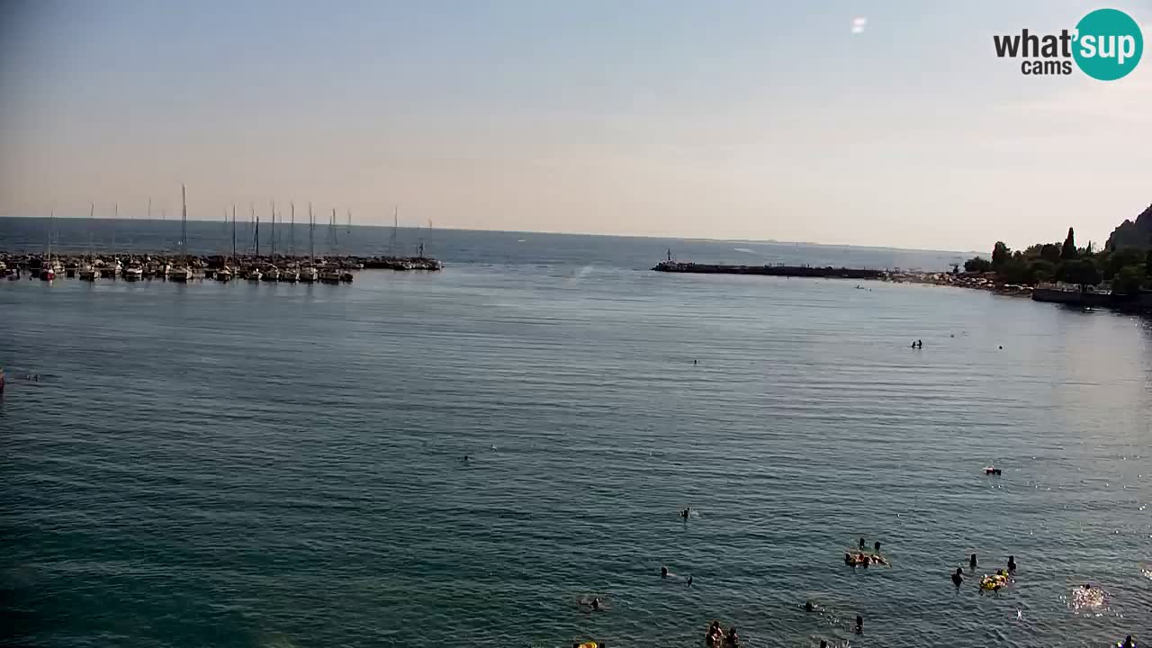 Web kamera Sistiana Uvala – Pogled uživo na marinu i zaljev