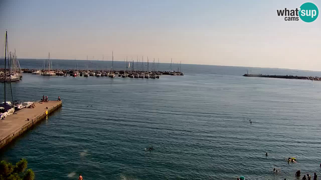 Web kamera Sistiana Uvala – Pogled uživo na marinu i zaljev