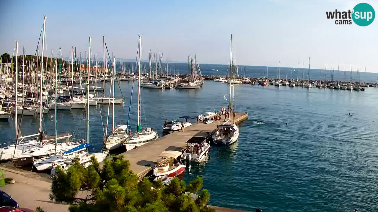 Webcam Sistiana Baia – Live View of the Marina and Gulf
