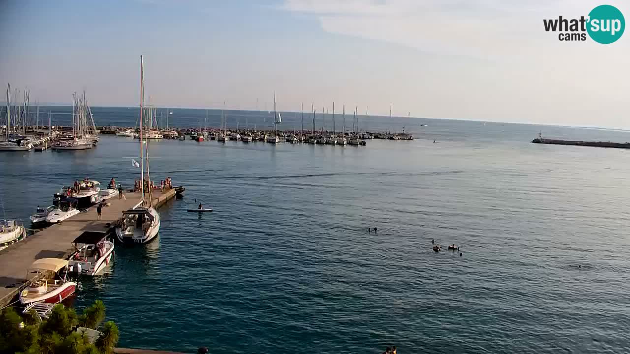Web kamera Sistiana Uvala – Pogled uživo na marinu i zaljev