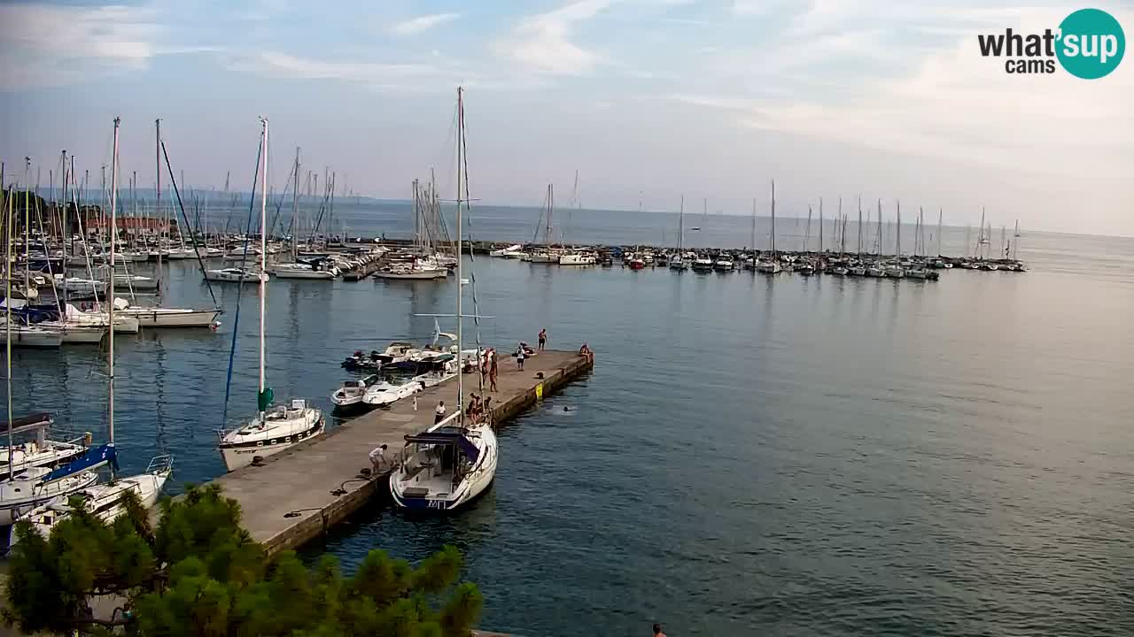 Web kamera Sistiana Uvala – Pogled uživo na marinu i zaljev