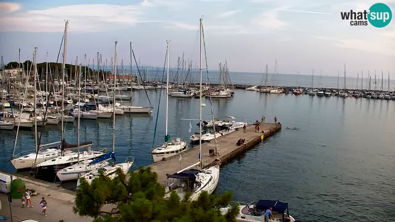 Webcam Sistiana Bucht – Liveblick auf Marina und Bucht