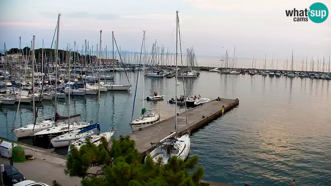Webcam Sistiana Baia – Live View of the Marina and Gulf