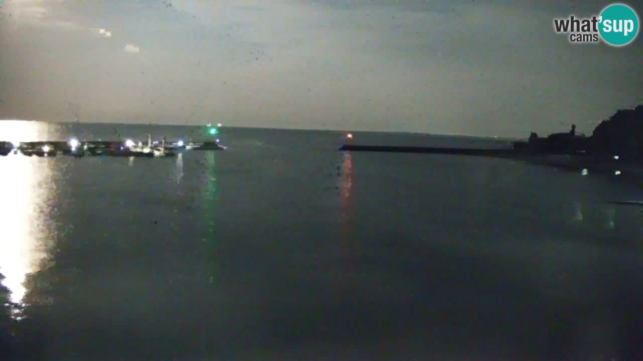 Webcam Bahía de Sistiana – Vista en directo del puerto deportivo y la costa