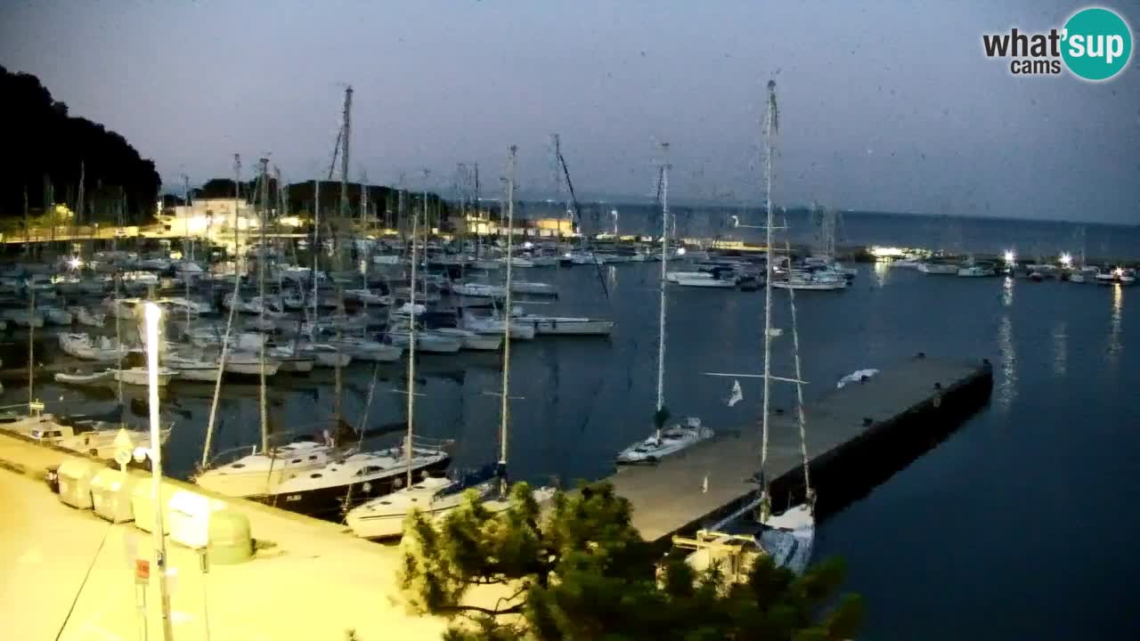 Webcam Sistiana Baia – Live View of the Marina and Gulf