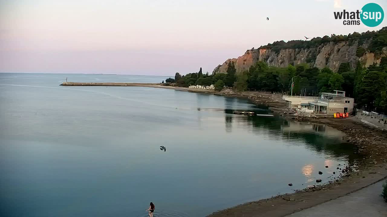 Spletna kamera Sesljanski zaliv – Pogled v živo na marino in zaliv