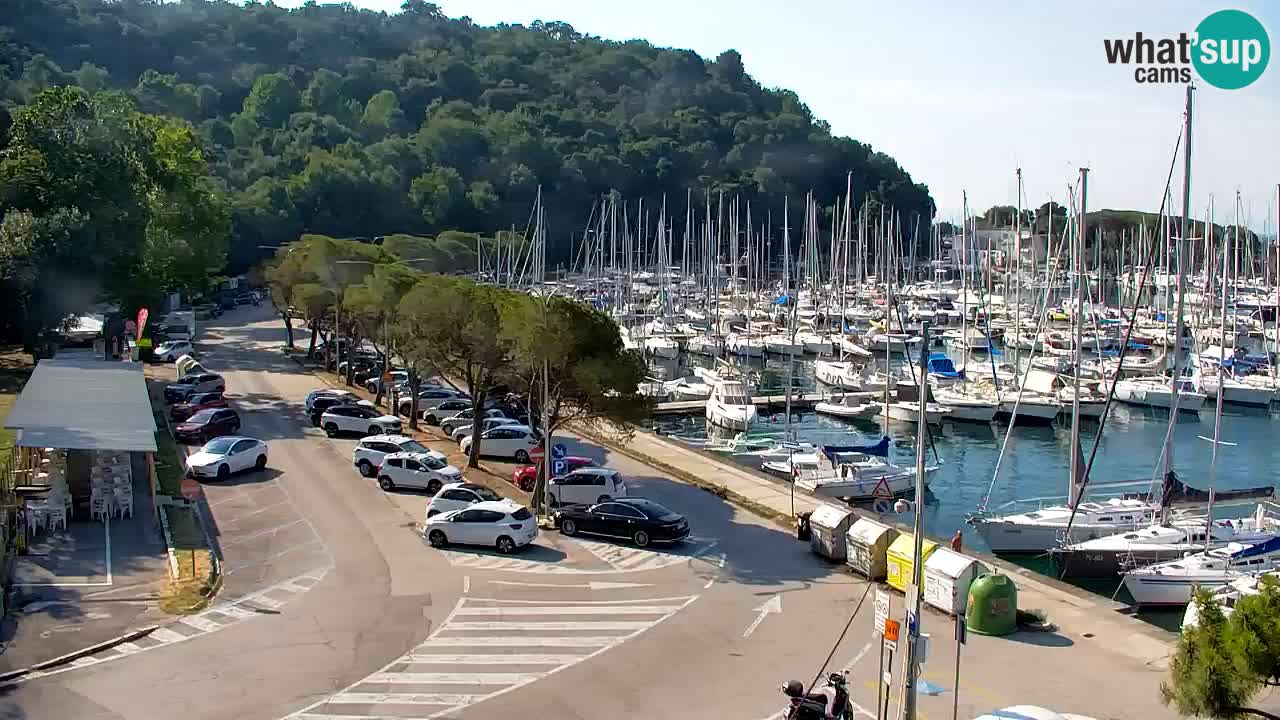 Webcam Sistiana Bucht – Liveblick auf Marina und Bucht