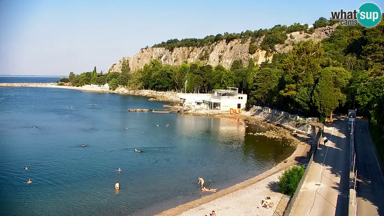 Web kamera Sistiana Uvala – Pogled uživo na marinu i zaljev