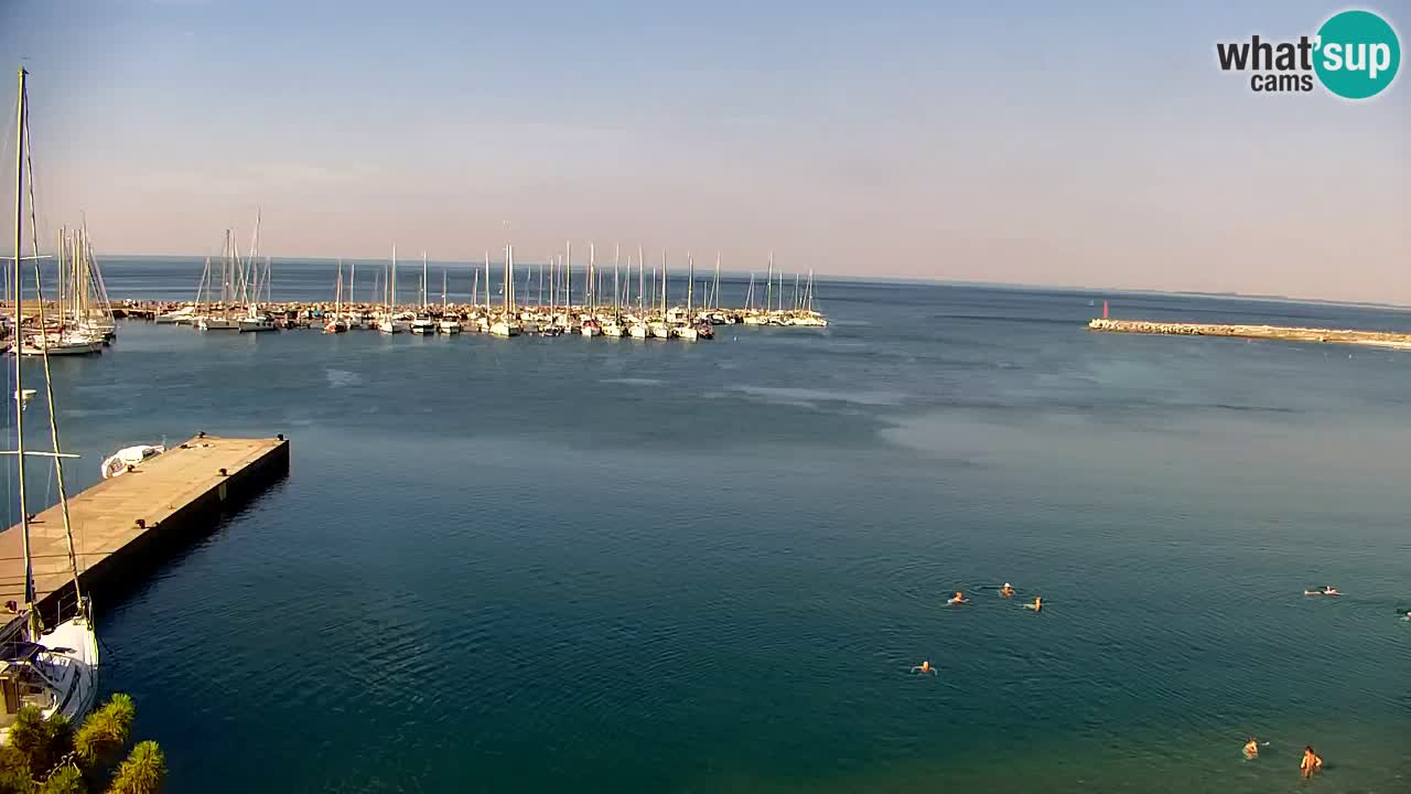 Web kamera Sistiana Uvala – Pogled uživo na marinu i zaljev