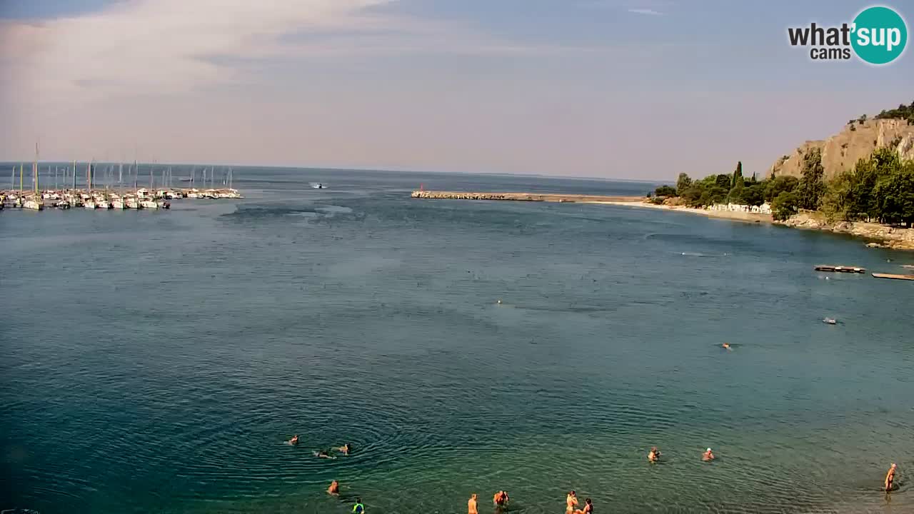 Webcam Sistiana Bucht – Liveblick auf Marina und Bucht