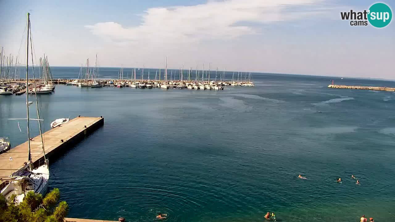 Webcam Bahía de Sistiana – Vista en directo del puerto deportivo y la costa