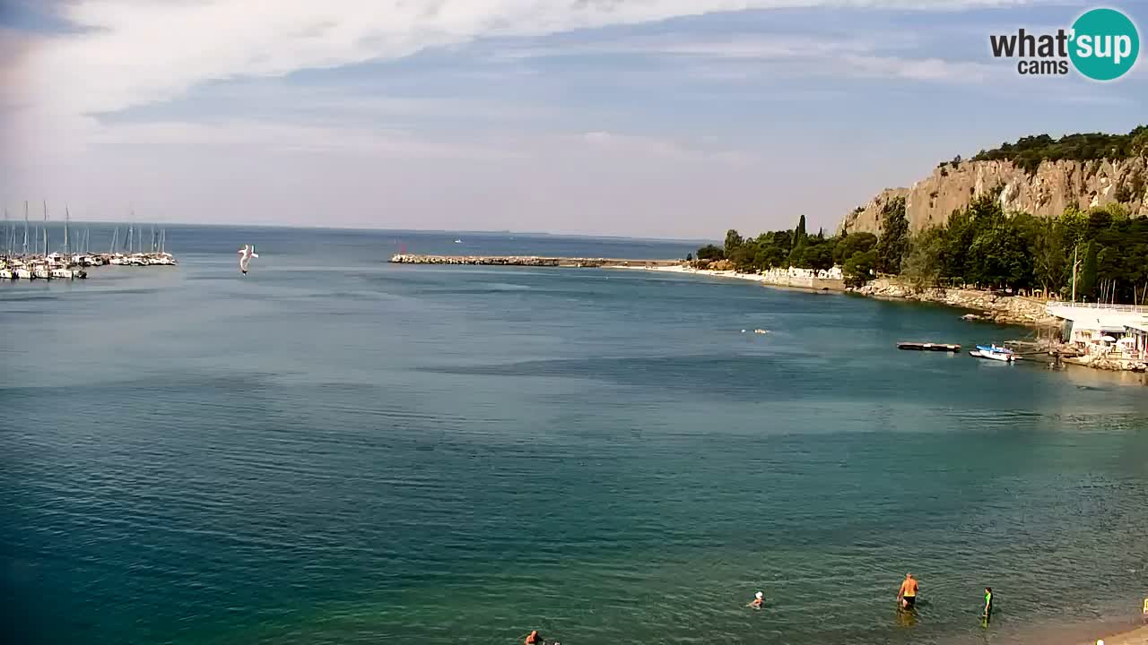 Webcam Baia di Sistiana – Marina e Golfo in diretta