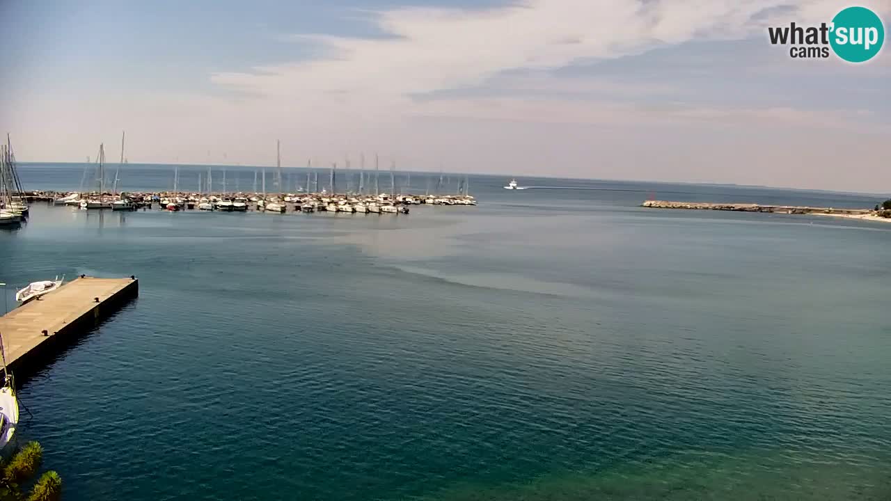 Webcam Sistiana Baia – Live View of the Marina and Gulf